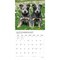 Plato; Puppy Pals | 2027 12 x 24 Inch (Hanging) Monthly Square Wall Calendar | Foil Stamped Cover; Category:Wall Calendars; Image:5